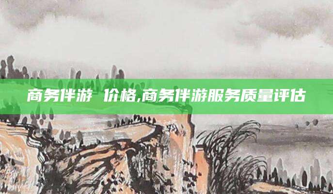 泗阳商务伴游 价格,商务伴游服务质量评估